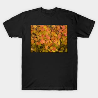 Autumn Leaves T-Shirt